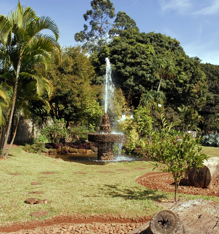 Um dos grandes atrativos do bairro, o parque oferece áreas para caminhada, lazer em família e contato com a natureza. Um diferencial para quem quer viver perto de um refúgio natural, mesmo dentro da cidade. Fonte de água com cenário arborizado do Parque Ecológico Roberto Burle Marx.