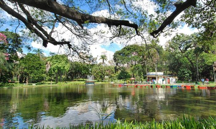 Parque Municipal Américo Renné Giannetti: natureza em área central Parque Municipal Américo Renné Giannetti