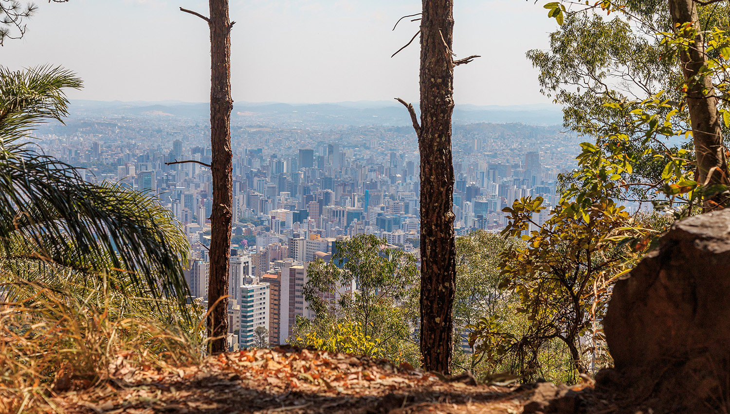 Conheça as praças e os parques mais bonitos de Belo Horizonte