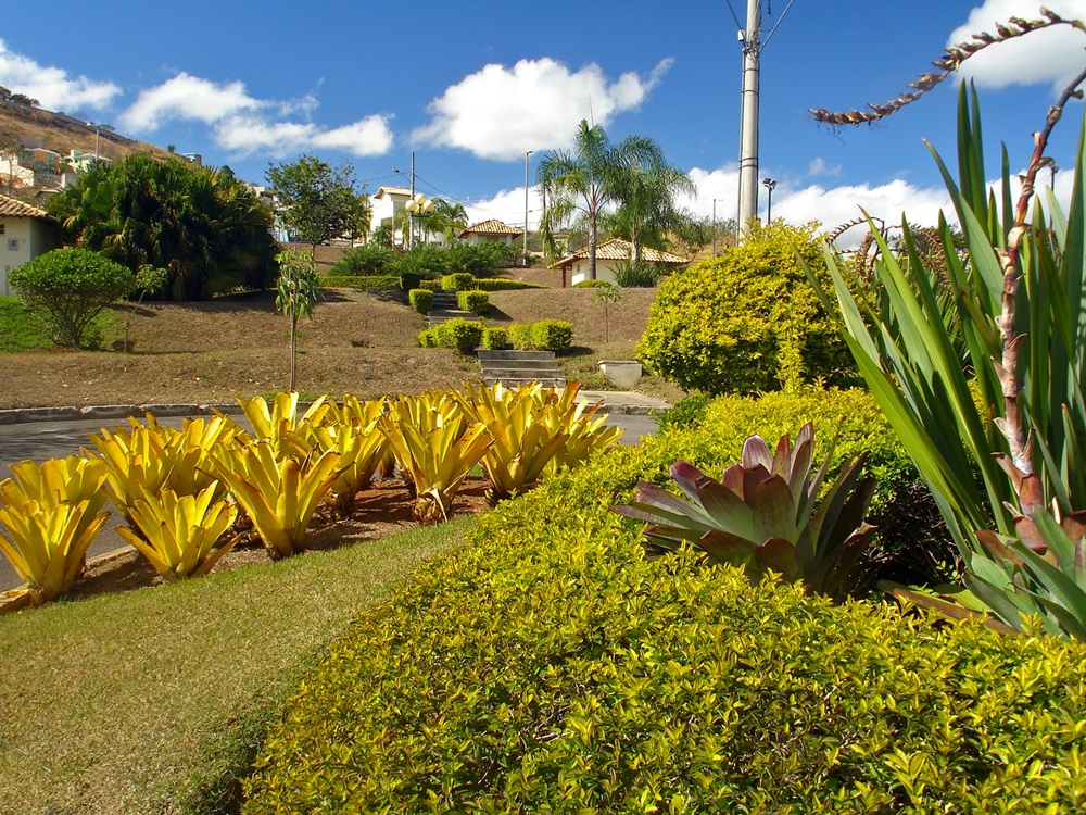 Tudo sobre o Parque Cássia Eller em Belo Horizonte